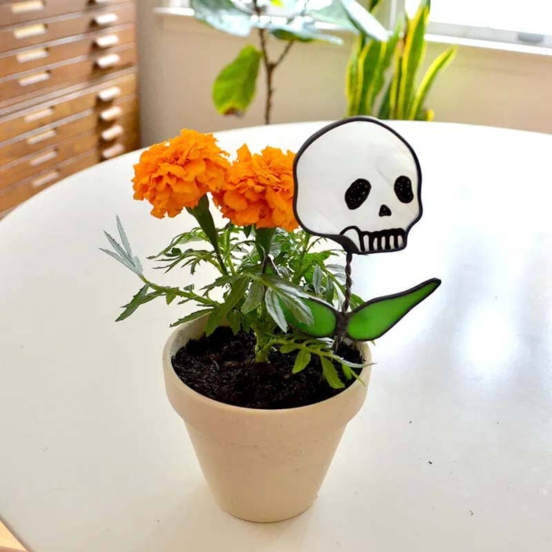 💥Early Halloween 💀Skull Stained glass Plant💐