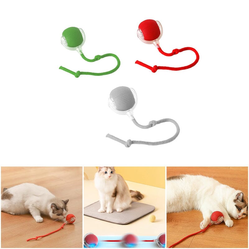 Indoor Cat Interactive Ball