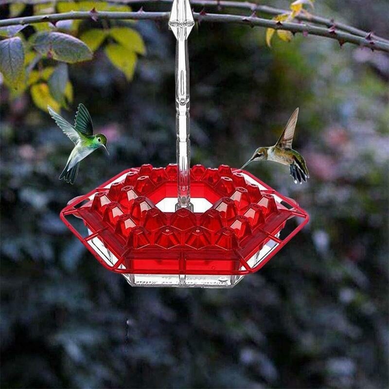 Hummingbird Feeders for Outdoors Hanging