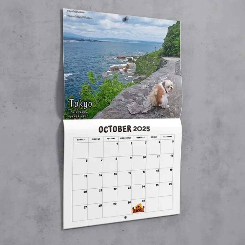 😆Funniest calendar of the century|"Artistic expression" of furry friends