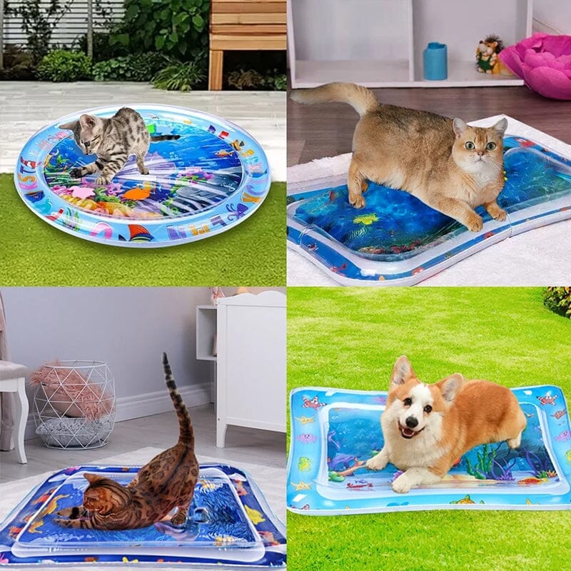 Pet Water Sensory Mat