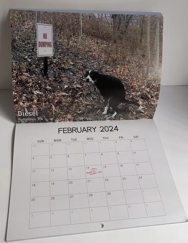 😆Funniest calendar of the century|"Artistic expression" of furry friends