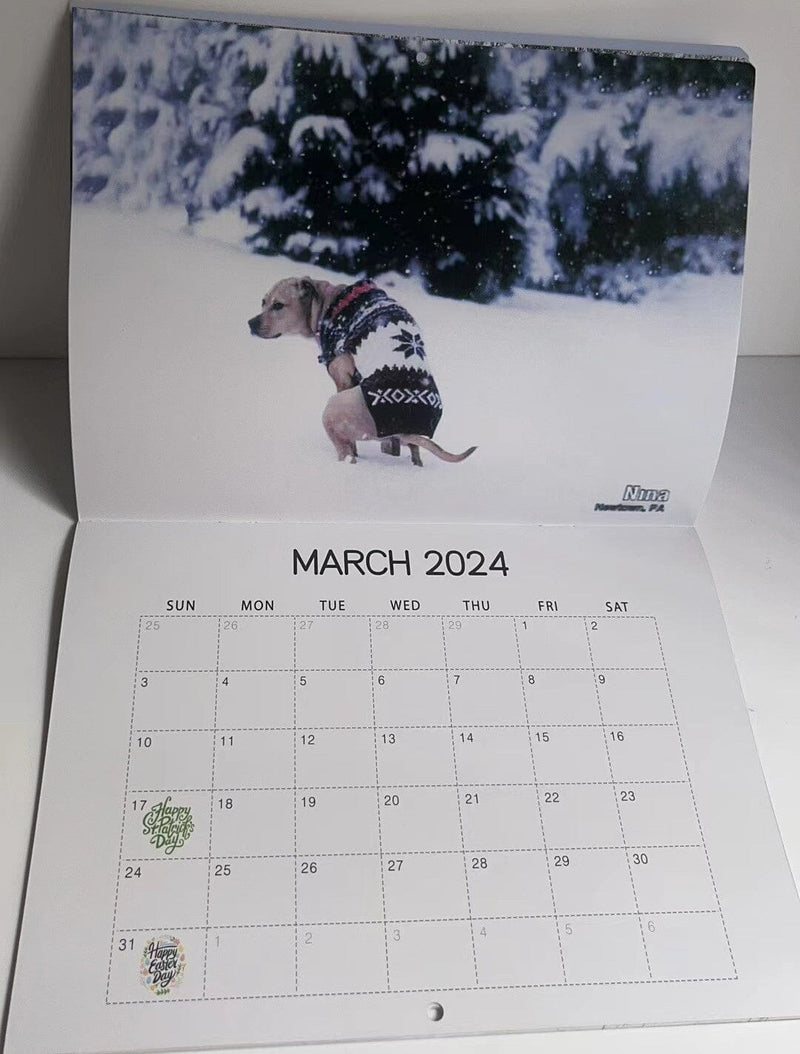 😆Funniest calendar of the century|"Artistic expression" of furry friends