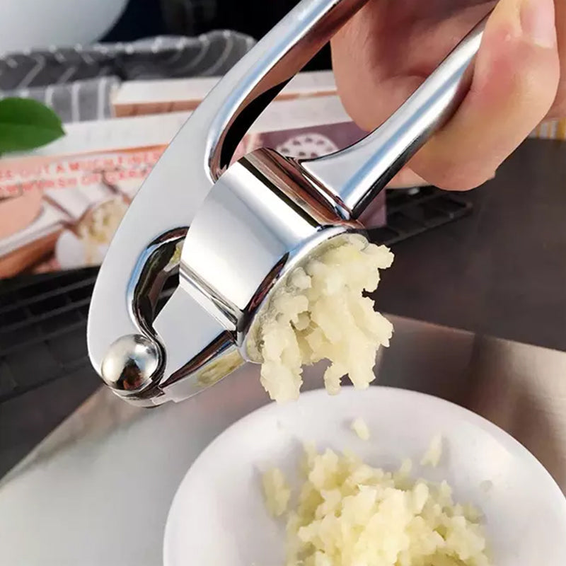 Stainless Steel Garlic Press