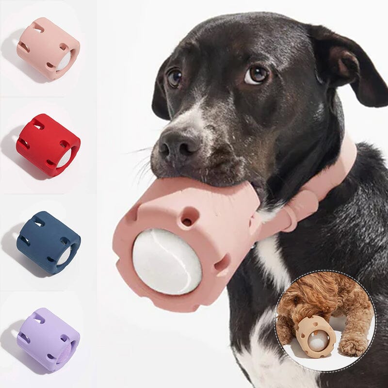 🐶🐱Tennis Tumble Puzzle Toy