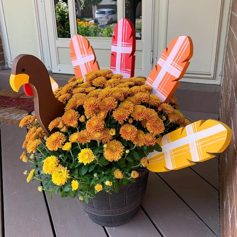 🐔Fall Decor Thanksgiving Turkey