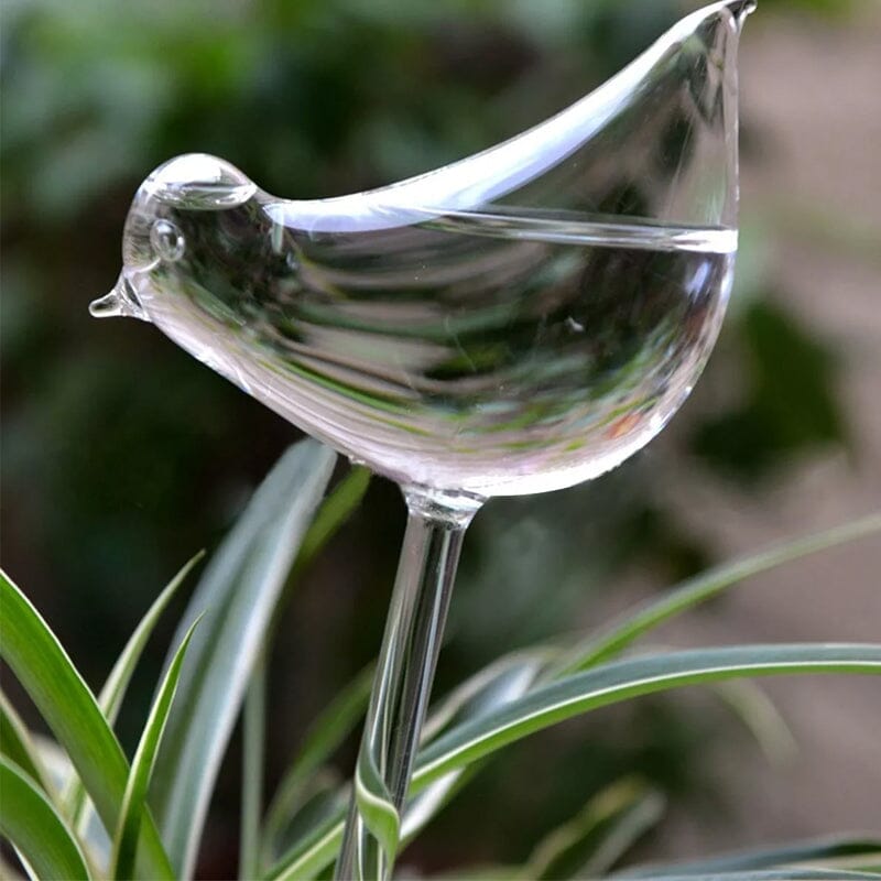 Bird Shaped Glass Automatic Watering Device