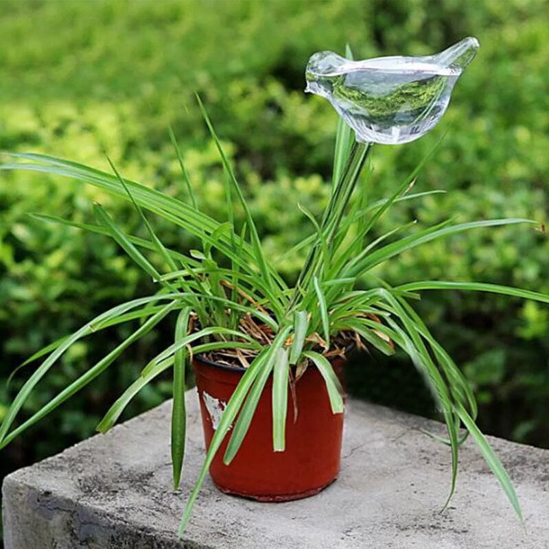 Bird Shaped Glass Automatic Watering Device