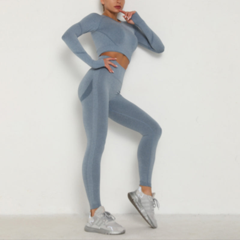 Seamless Yoga Clothing Set